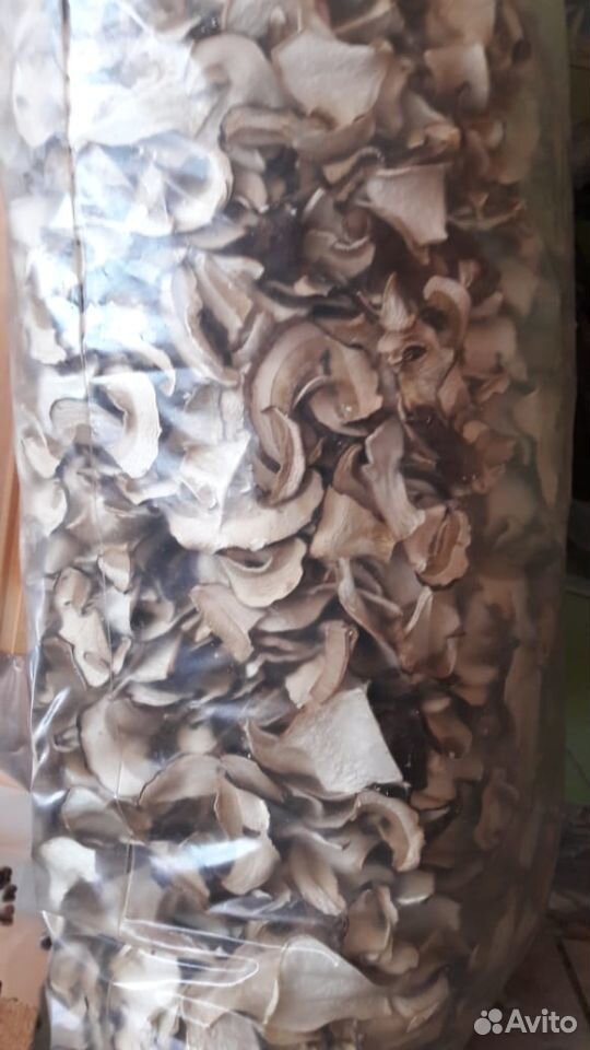 Продам сухие грибы купить на Зозу.ру - фотография № 1