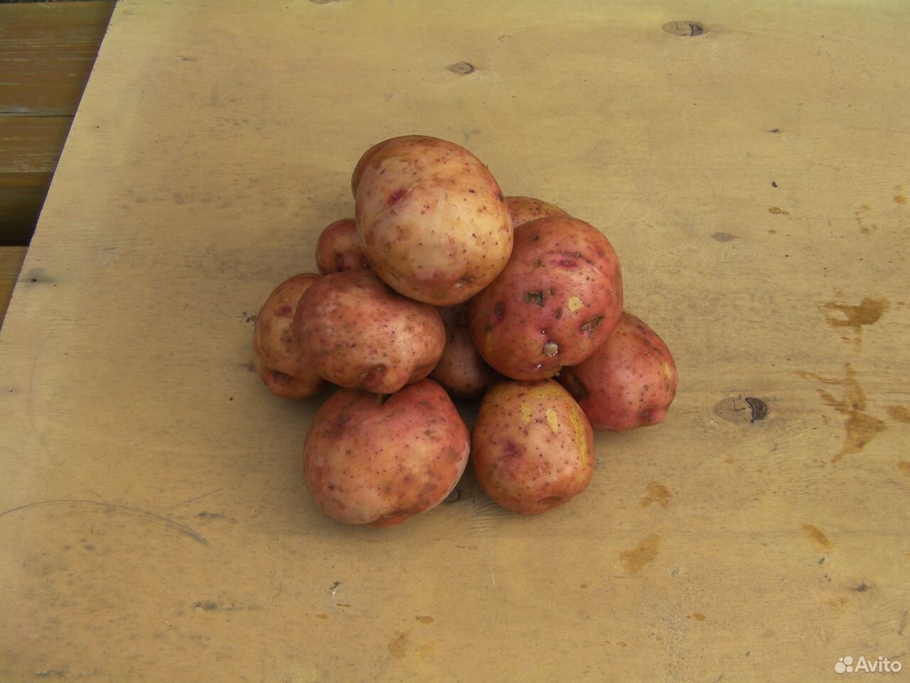Картофель купить на Зозу.ру - фотография № 2