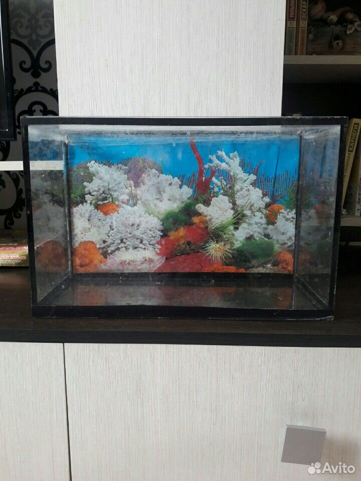 Продам аквариум 15 литров купить на Зозу.ру - фотография № 1