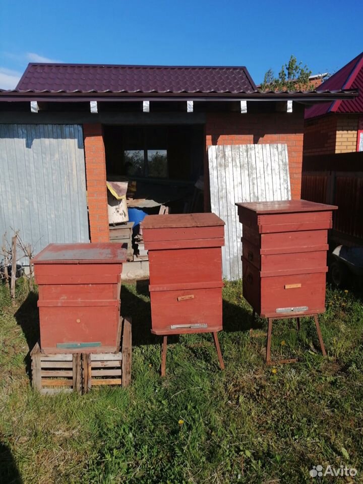 Пчелиные ульи купить на Зозу.ру - фотография № 1