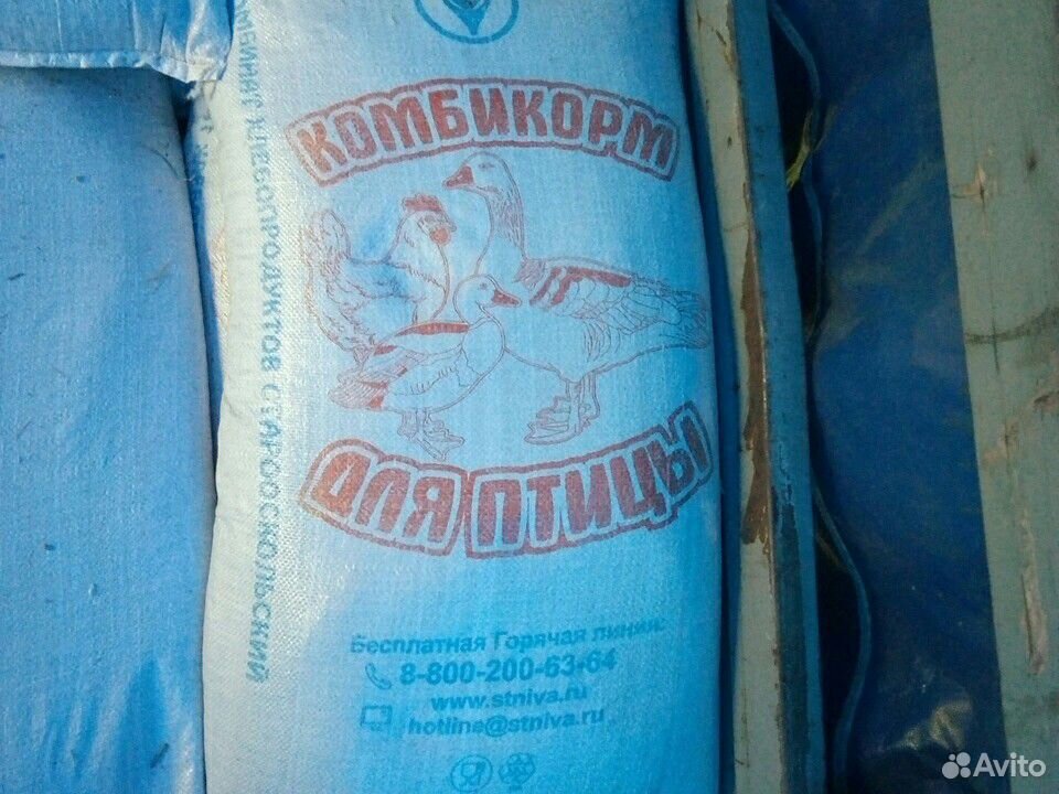 Пшеница, кукуруза, комбикорм купить на Зозу.ру - фотография № 5