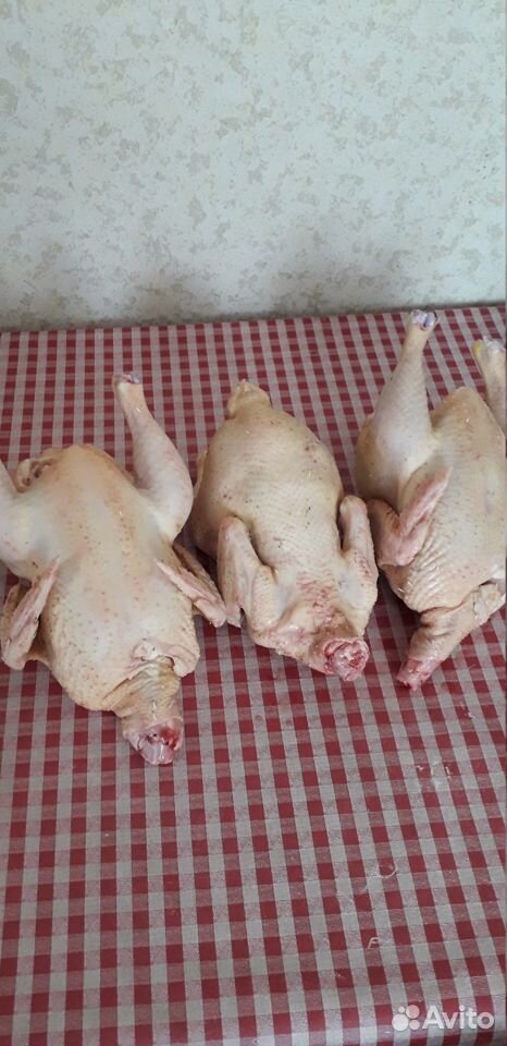 Мясо домашних кур купить на Зозу.ру - фотография № 1