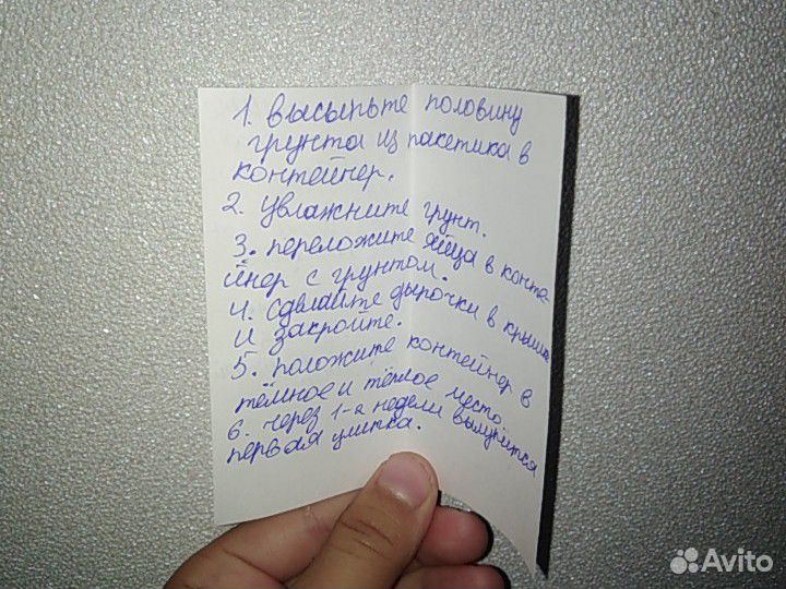 Набор для выращивания улиток Ахатин купить на Зозу.ру - фотография № 4