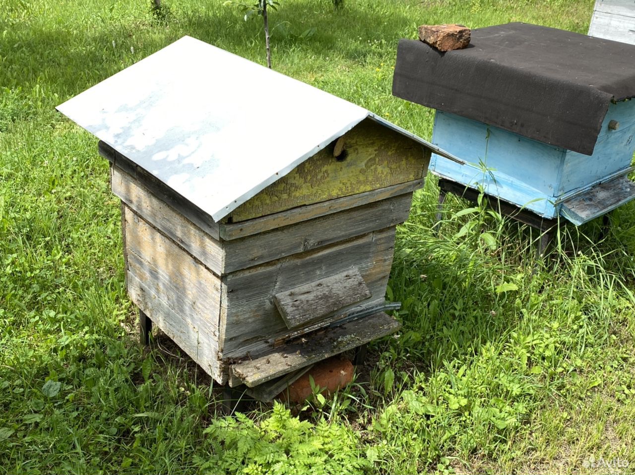 Пчёлы с ульями 12 и 7 рамок 3 Шт купить на Зозу.ру - фотография № 4