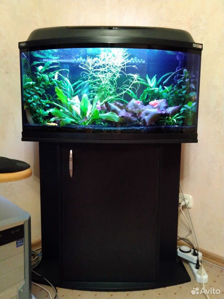Готовый аквариум купить на Зозу.ру - фотография № 1