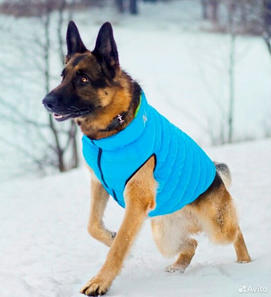 Двусторонняя курточка для собаки Airy Vest купить на Зозу.ру - фотография № 4