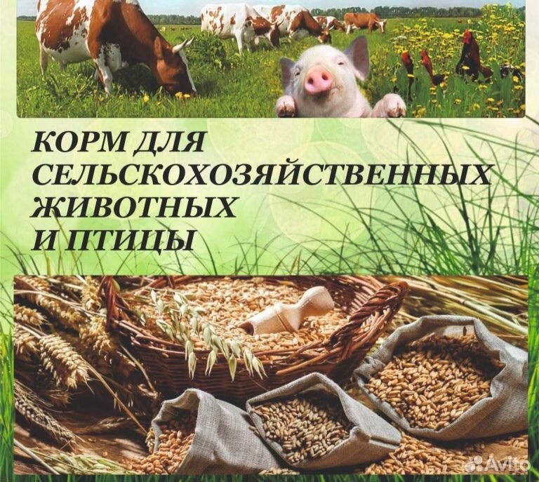 Комбикорма для животных купить на Зозу.ру - фотография № 1