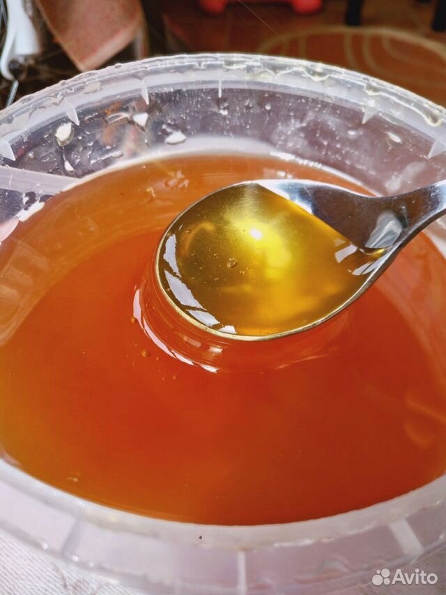 Продаётся цветочный мёд купить на Зозу.ру - фотография № 1