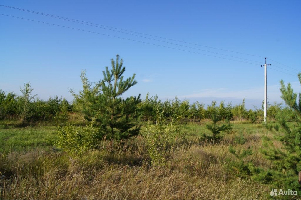 Участок красное. Село красный Яр Ульяновская область Чердаклинский район. Красный Яр Чердаклинский. Земля в Красном Яре Ульяновской области. Ульяновская область село поселок красный.