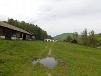 Село месяц. Нижнекаянча Алтайский край. Селе Нижнекаянча горный Алтай. Алтайский р-н, с. Нижнекаянча,. Степановы Нижнекаянча Алтайский район.