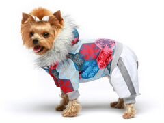 Зимняя одежда для собак