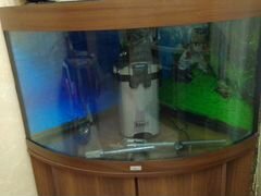 Продам аквариум с тумбой + фильтр
