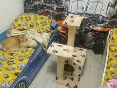 Домик для кошек