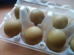 Яйца фазана инкубационные