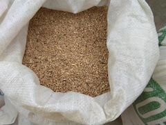 Мелкая пшеница