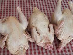 Мясо домашних кур