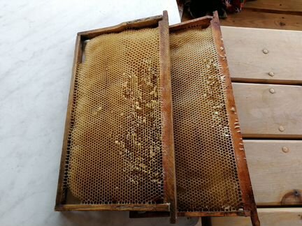 Пчело-рамки