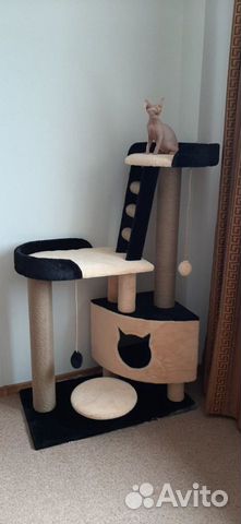 Домики, комплексы,когтеточки для кошек, выс.1,3м