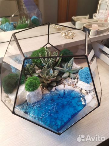 Флорариум с живыми растениями