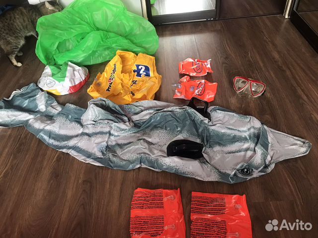 Жилет, нарукавники, маска, мяч, дельфин