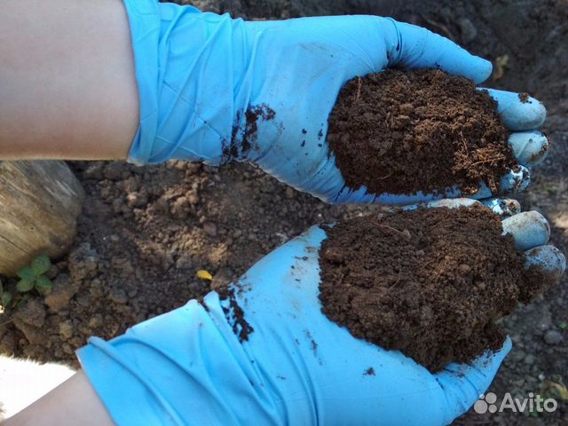 Органическое удобрение (перегной)