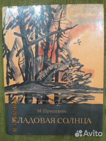 Картинки к рассказу кладовая солнца пришвин