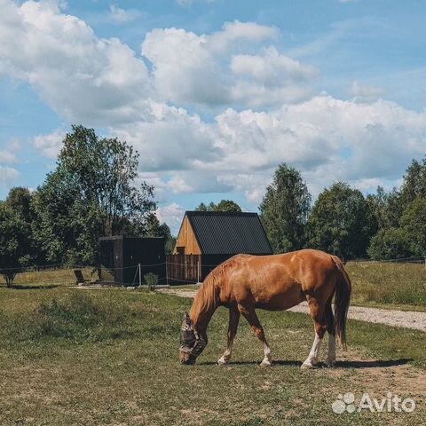 

1-к. дом, 20 м²