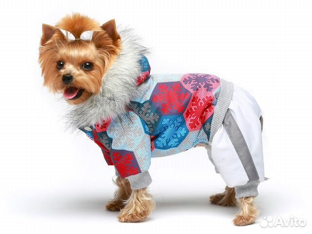 Зимняя одежда для собак купить на Зозу.ру - фотография № 1