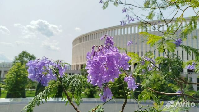 

1-к. квартира, 43 м², 2 кровати