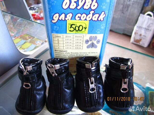 Ботиночки для собачки купить на Зозу.ру - фотография № 1