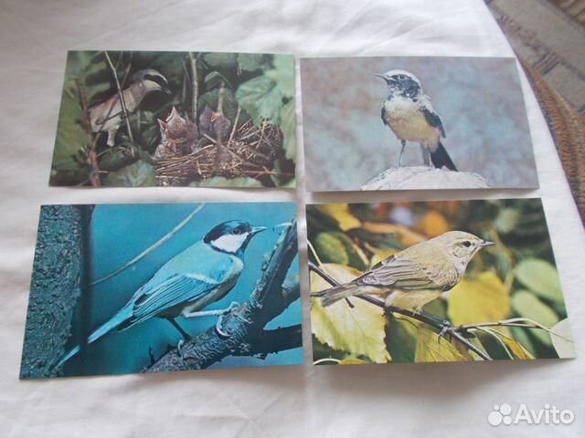 Птицы 1978 г. полный набор - 18 открыток Фауна