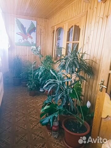 Дом 100 м² на участке 1 сот.