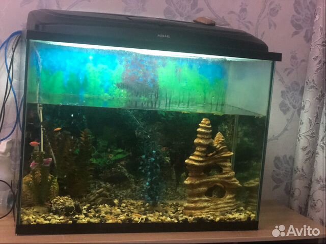 Продам аквариум с рыбками