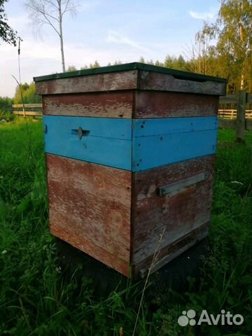 Домик для пчел купить на Зозу.ру - фотография № 1