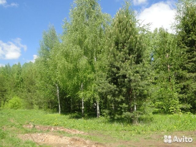 Участок 9.8 сот. (ИЖС) Участок 9.8 сот. (ИЖС)