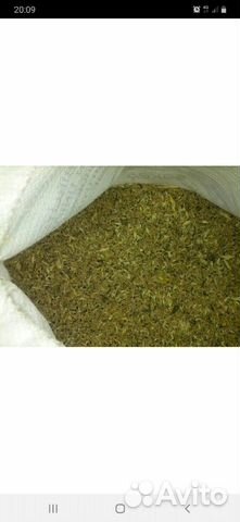Зерноотходы пшеницы "отруби" купить на Зозу.ру - фотография № 2