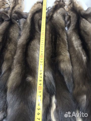 Шкуры соболя Шкуры соболя