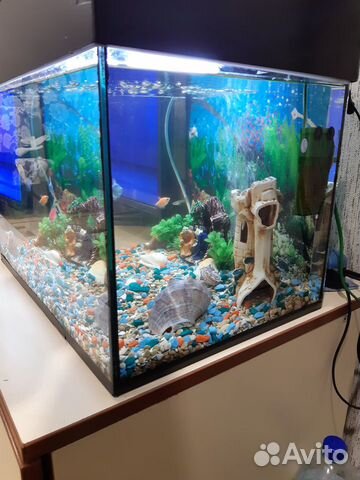 Продаю аквариум 40 л в сборе купить на Зозу.ру - фотография № 2