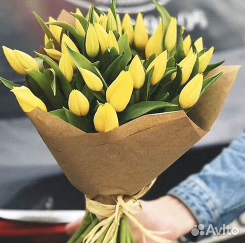 Тюльпаны Тюльпаны