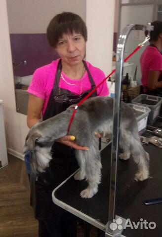 Стрижка животных: собаки, кошки, кролики