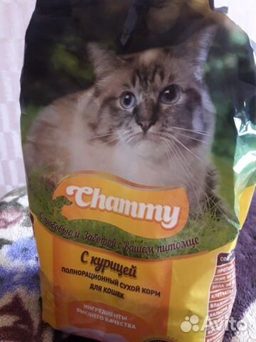 Корм сухой для кошек купить на Зозу.ру - фотография № 1