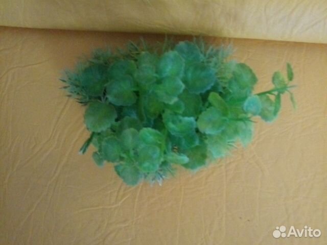 Аквариумные водоросли (ненастоящие) купить на Зозу.ру - фотография № 2