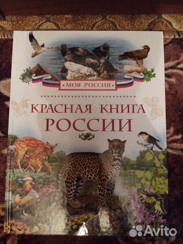 Книга Книга