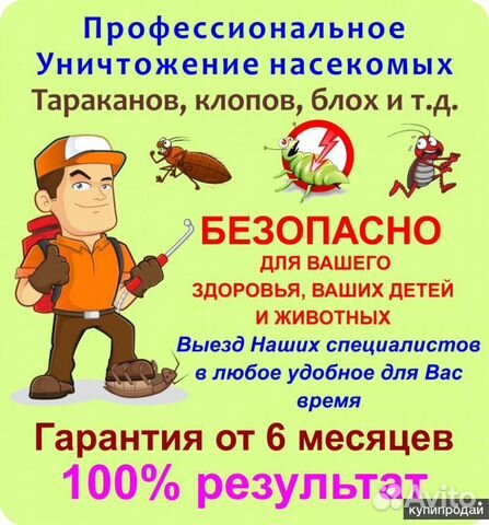 Уничтожение клопов тараканов клещей блох муравьев