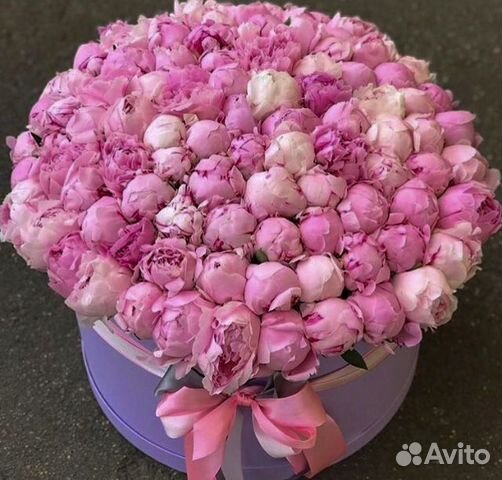 Пионы доставка 11 15 19 25 101 пион букеты Цветы