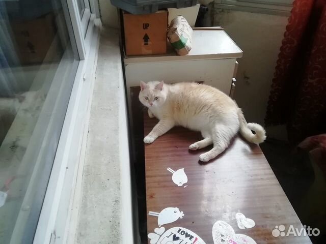 Комната 14 м² в 2-к, 5/17 эт.