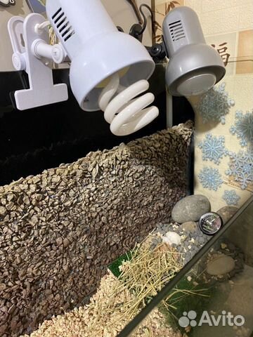 Террариум для черепахи(др животных)