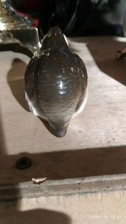 Куропатка лфз состояние