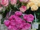 Цветы от Ксении. Огромный выбор. Розы. От 31.51.10 объявление продам