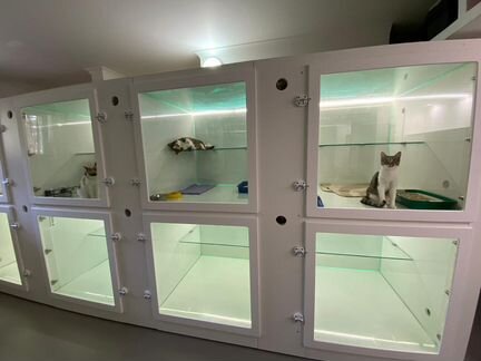 Гостиница для животных / Передержка кошек